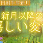 扉が開く新月【12月1日射手座新月】新月以降の嬉しい変化👑お月様からのメッセージ🍀タロット＆オラクル🪽