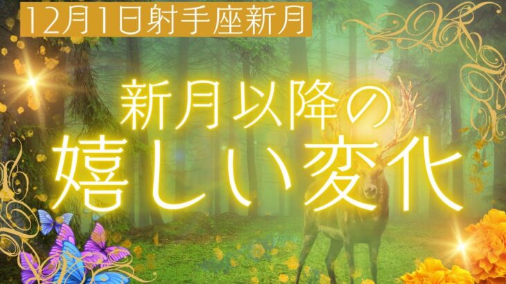 扉が開く新月【12月1日射手座新月】新月以降の嬉しい変化👑お月様からのメッセージ🍀タロット＆オラクル🪽