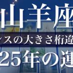 【やぎ座】2025年（年間保存版）♑️チャンスの大きさが段違い…現れるものが変わって来る、始まるよ、新しい劇場