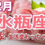 水瓶座　2024年12月　地の時代の頑張りが風の時代に完成　開花　解放　大逆転