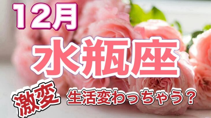 水瓶座　2024年12月　地の時代の頑張りが風の時代に完成　開花　解放　大逆転