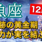 魚座12月運勢【全体運】最高結果❗️急上昇の準備万端🔮仕事運・人間関係運・恋愛運・金運［タロット/オラクル/風水］