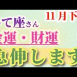 【いて座】 2024年11月17日から30日までの射手座の金運・財運。星とタロットで読み解く未来 #射手座 #いて座