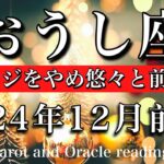 おうし座♉︎2024年12月前半 何もジャッジしなくてOK💫遠回りしながら優雅に前進する🕊️Taurus tarot  reading