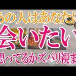 【ネタバレ気にせず観れる】あの人はあなたに会いたい？どれくらい会う気ある？【恋愛タロット占い】