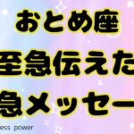 【乙女座】おめでとうございますっと言いたくなりました❣️❗️＃タロット、＃オラクルカード、＃当たる、＃占い、＃緊急