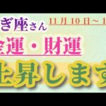 【山羊座】 2024年11月10日から16日までのやぎ座の金運・財運。星とタロットで読み解く未来 #山羊座 #やぎ座