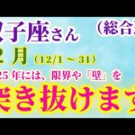 【双子座】 2024年12月1日から31日までのふたご座の運勢。星とタロットで読み解く未来 #双子座 #ふたご座