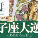 双子座♊運命的な出会いや嬉しいお知らせが届く大逆転🍀もうすぐ訪れる大逆転🍀どんな大逆転が🍀いつ頃訪れる？🌝月星座ふたご座さんも🌟タロットルノルマンオラクルカード