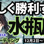 【水瓶座】♒️2024年12月2日の週♒️楽しく勝利する。豊かに、軽やかに、そして解放される時。みずがめ座タロット占い