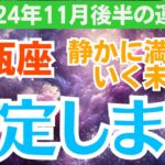 【水瓶座】2024年11月後半のみずがめ座総合運🌟試練を超えた先に待つ幸せ💖