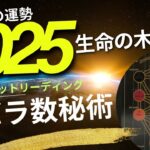 (2025年の運勢カバラ数秘術）2025年の運勢をカバラタロットリーディング、神秘の生命の木を使ってアセンションします☆彡あなたの統合ワークがわかります