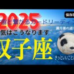 双子座♊️【保存版】2025年の運気⭐️動き出す運命の輪‼️愛に満たされ安定した運を掴む👍🏻✨