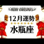 水瓶座、光の時代へ突入！！ついにきたね～🥹✨今年中に知っておいてほしいこと─観るだけで奇跡が起こる12月運勢♒️仕事恋愛対人不安解消・評価や印象【個人鑑定級タロットヒーリング】