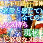 💕見逃し不可避×一部神回🍁厳しい恋愛と感じている全ての方々へ、あの人の思い、現状、未来、あなたに必要なメッセージをお伝えします🦋