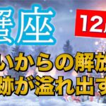 蟹座12月運勢【全体運】劇的な2024年の締めくくり❗️飛躍します🔮仕事運・人間関係運・恋愛運・金運［タロット/オラクル/風水］