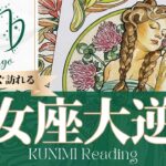 乙女座♍諦めていた恋愛・結婚・仕事が叶う大逆転🍀もうすぐ訪れる大逆転🍀どんな大逆転が🍀いつ頃訪れる？🌝月星座おとめ座さんも🌟タロットルノルマンオラクルカード