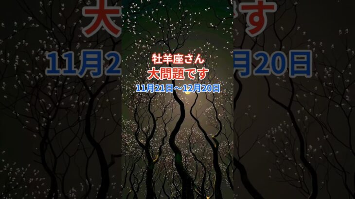 【牡羊座】 2024年11月21日から12月20日までのおひつじ座の運勢。星とタロットで読み解く未来 #牡羊座 #おひつじ座