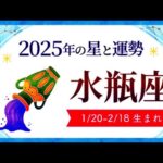 水瓶座（みずがめ座）2025年の運勢｜全体運・恋愛運・仕事運・金運.