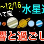 理想は持ち続けながらも微調整する時！いて座水星逆行の影響とアドバイス！【2024/11/26〜12/16 射手座】