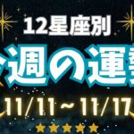 【星座占い】11/11〜11/17の星座別運勢！今週の運気を徹底解説