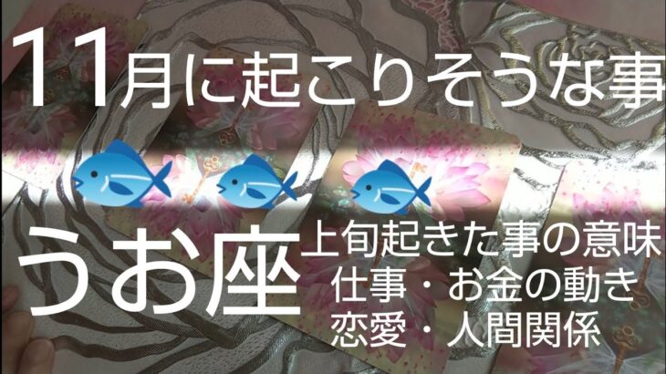 【うお座♓️11月運勢】🌈人生の大きな節目❗️ビッグウェーブに乗る❗️#オラクルカード #カードリーディング#スピリチュアル #占い #運命#恋愛 #魚座#うお座#うお座11月#魚座11月#個人鑑定級