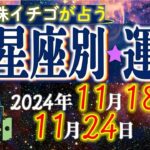 ★忖度なし★2024年11月18日〜11月24日の星座別の運勢★運気を上げるアドバイスつき★