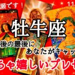 🌌牡牛座🌌新たな人生の幕開け、大きな変化の時！面白い出会いもありそう！ #11月#12月 #運勢 #占い #牡牛座 #おうし座 #仕事 #金運 #恋愛 #総合運 #タロット