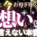 辛口あり✨恋の本音が丸分かり❤️お相手様の想い❤️‍🔥超深掘りリーディング【忖度一切なし♦︎有料鑑定級♦︎】