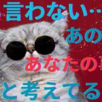 何も言わないあの人がずっと考えていること。本心❤️‍🔥恋愛タロット占い ルノルマン オラクルカード 個人鑑定級に深掘り 細密リーディング