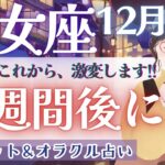 【乙女座】鳥肌級!! 大胆に才能を発揮出来ちゃう!! “念願の豊かさ”を手にする時🎉✨【仕事運対人運/家庭運/恋愛運／全体運】12月運勢  タロット占い