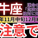 【牡牛座】2024年11月中旬～12月初旬おうし座は要注意！運命を狂わせる選択とその回避法