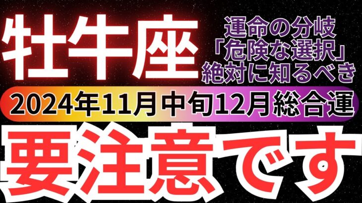 【牡牛座】2024年11月中旬～12月初旬おうし座は要注意！運命を狂わせる選択とその回避法