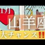 11月【山羊座】起こること～大チャンス！！～【ルノルマンカードリーディング＆アストロダイス】