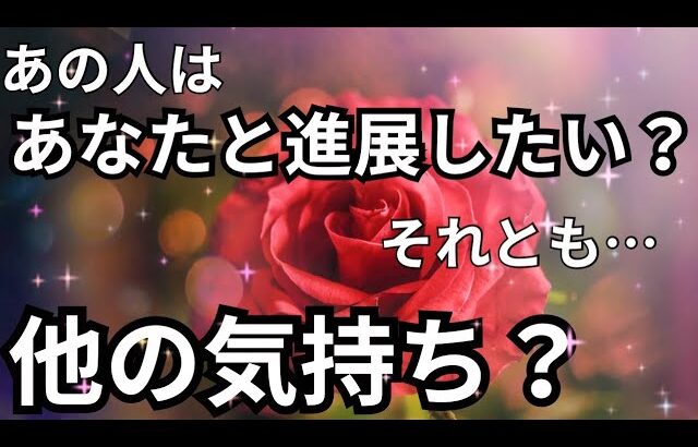 あの人はあなたと進展したい？それとも別の感情？本心🩷🫨恋愛タロット占い ルノルマン オラクルカード 細密リーディング