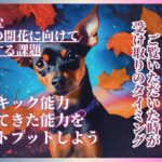 天秤座 てんびん座 2024年 11月1日UP分 魂が望むあなたの花を咲かせる為に具現化すること サイキック能力 培ってきた能力をアウトプットする タロットカード オラクルカード龍 龍神 ドラゴン