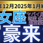 【乙女座】2024年12月から2025年１月おとめ座は富豪の金運爆発あり、緊急警告！見逃すと後悔の年末運勢が激変します！