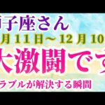 【獅子座】 2024年11月11日から12月10日までのしし座の運勢。星とタロットで読み解く未来 #獅子座 #しし座