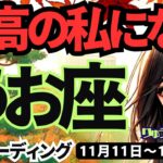 【魚座】♓️2024年11月11日の週♓️最高の私になる。危ない人を回避して、幸せが完成する。タロット占い。