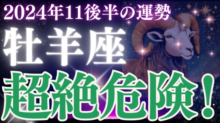 【牡羊座】2024年11月後半のおひつじ座さんの恋愛運、金運、仕事運、健康運をタロットと星読みで鑑定します