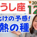 【おうし座】ワクワクで掴むチャンス✨嬉しいご褒美✨新しい情熱が湧いてくる／占星術でみる12月の運勢と意識してほしいこと