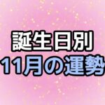 2024年11月の運勢 | 誕生日占い 【せんこ】