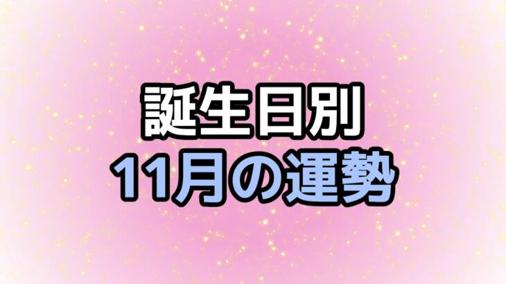 2024年11月の運勢 | 誕生日占い 【せんこ】