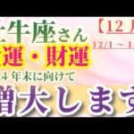 【牡牛座】 2024年12月1日から31日までのおうし座の金運・財運。星とタロットで読み解く未来 #牡牛座 #おうし座