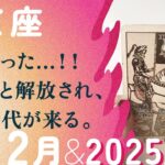 出ました神回！！これは凄すぎ。2025年へ、ガチ運気の前兆。【12月の運勢・2025年上半期の流れ　射手座】