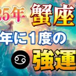 【蟹座/タロット占い】12年に1度の強運年🔮幸運を手にするには○○○せよ！