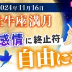 【2024年11月16日♉️牡牛座満月🌕】冥王星水瓶座入り直前！ついに自由になる【風の時代】【占い】【開運】