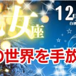 乙女座♍2024年12月★この世界を手放す。