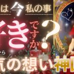 【新シーズンSTART❤️✨めっちゃLOVE結果あり❤️🎄】お相手様は私のこと好き？【忖度一切なし◇辛口あり】