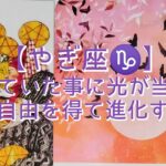 【やぎ座♑】〜人生の目的地へ続く道〜　諦めていた事に光が当たる　真の自由を得て進化する私